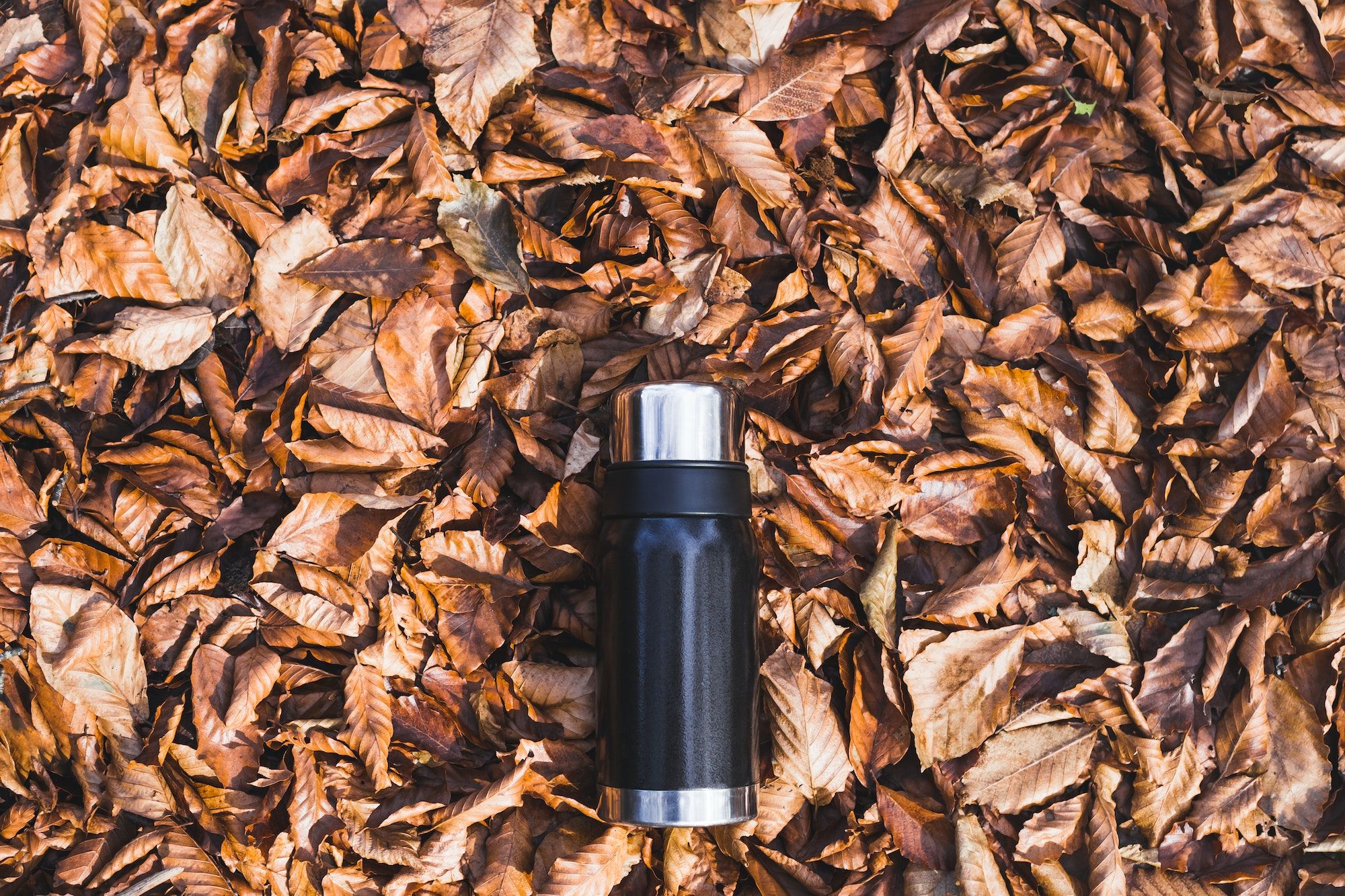 Thermos in autumn leaves